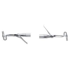 Amalgam Carriers mini/regular