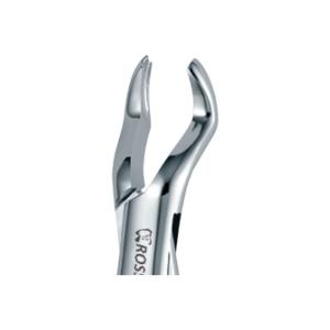 Extraction Forceps American fig. 53r