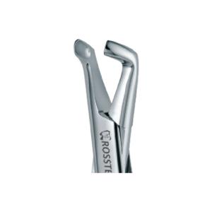Extraction Forceps American fig. 22