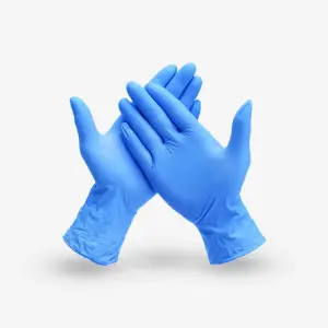 Nitrile Exam Gloves Powder Free Large Box/100
