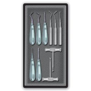 Root Elevators (set of 10)
